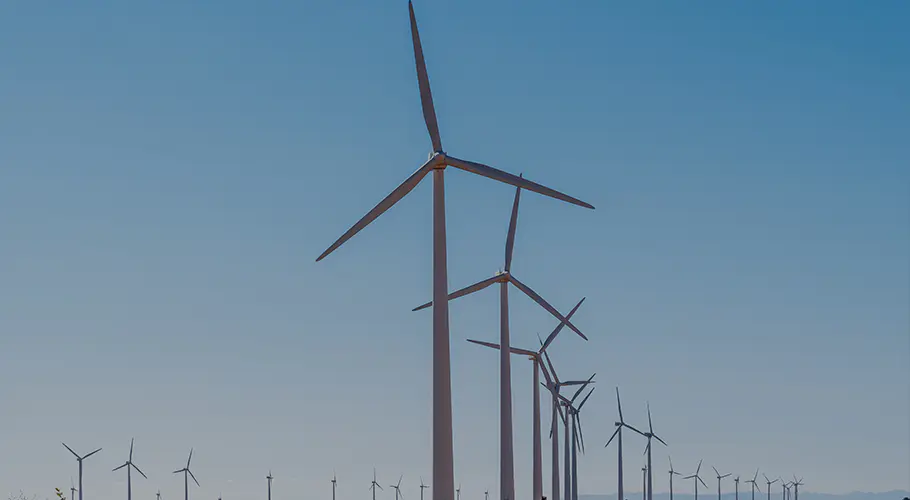 Jiangsu Hailing Carbon Products Co., Ltd.